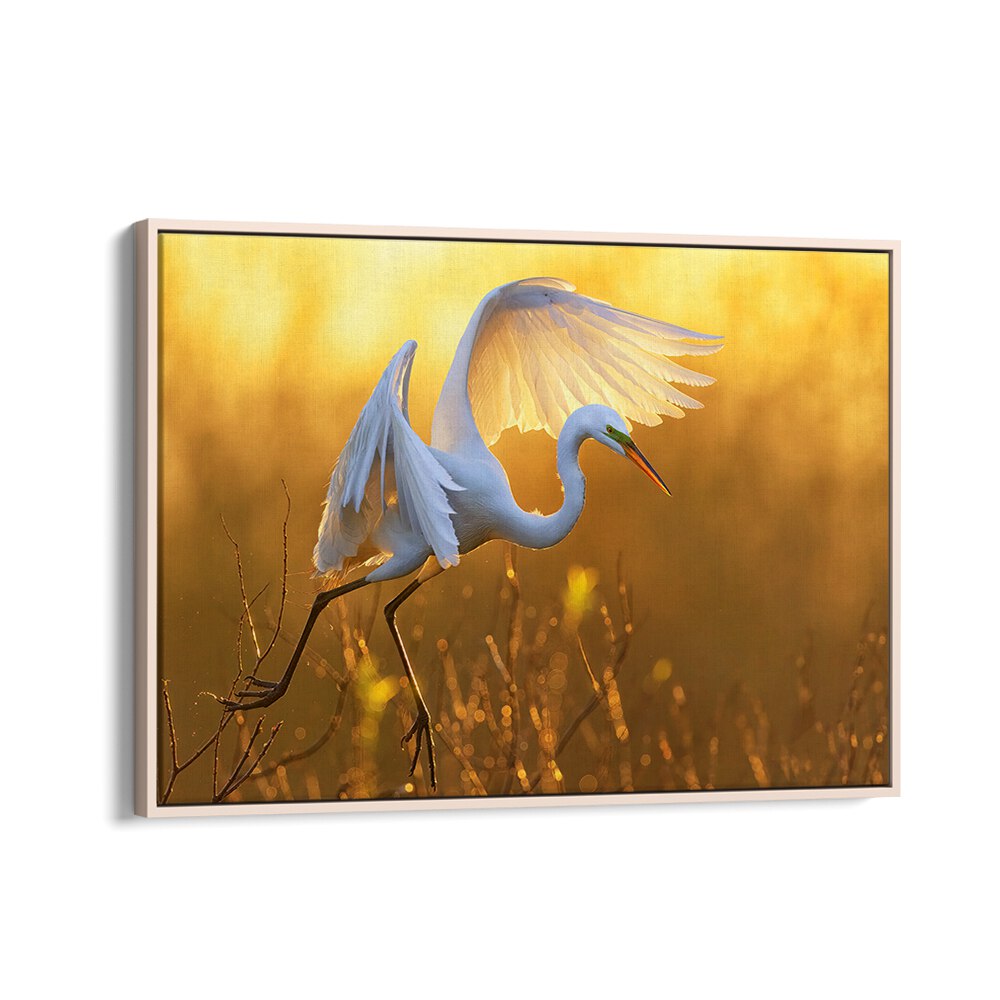 MORNING EGRET BY MICHAEL ZHENG , LANDSCAPE PHOTO PRINTS