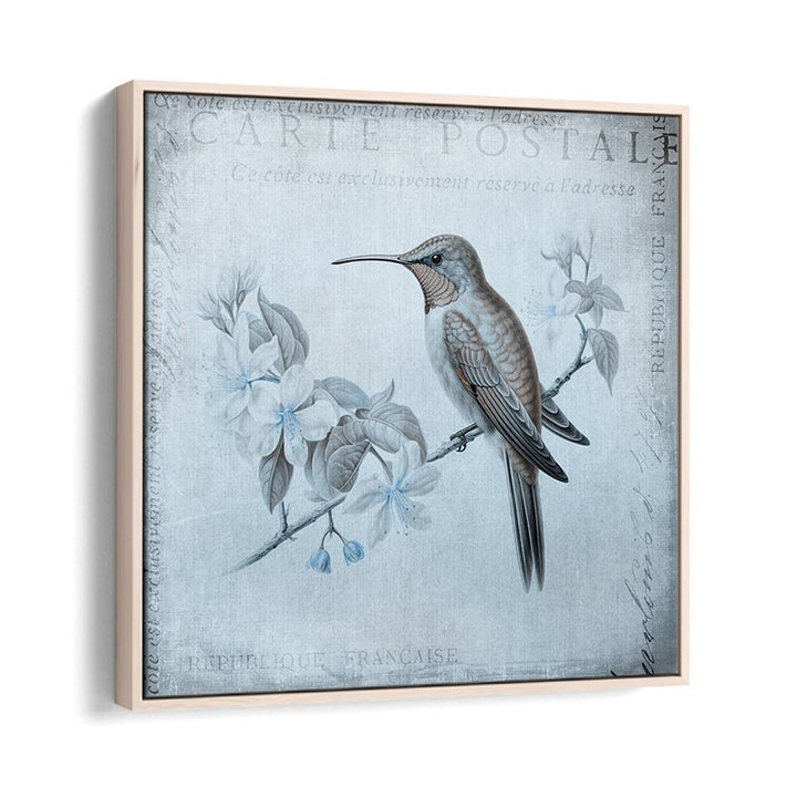 HUMMINGBIRD  ROMANCE AQUA BLUE BY ANDREA HAASE , WILDLIFE POSTERS, WILDLIFE PAINTINGS