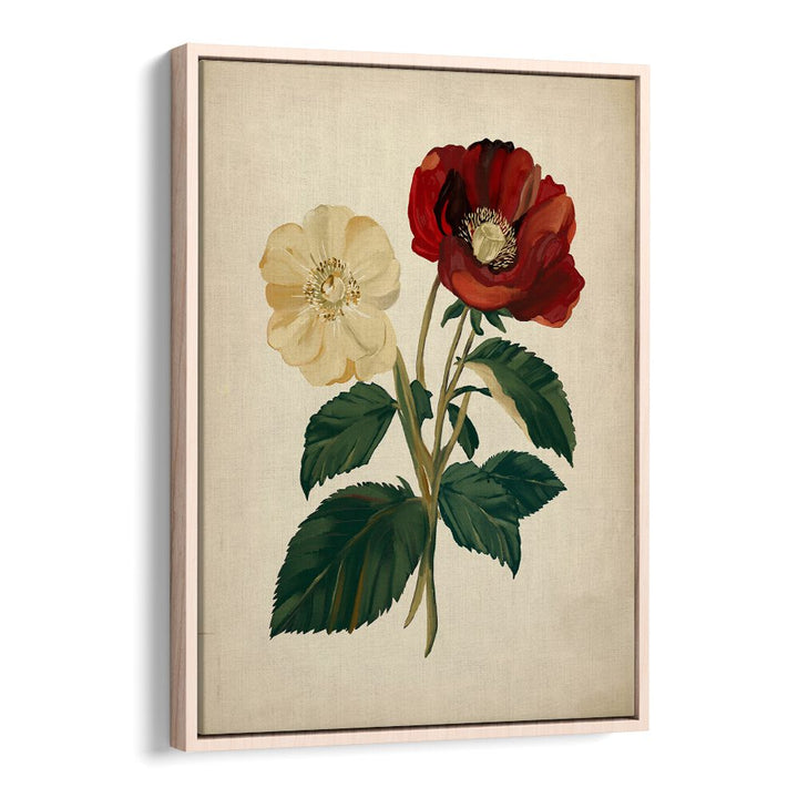 Elegant 18TH CENTURY BOTANICAL , FLORAL FLOWER PAINTINGS showcasing vibrant flowers, perfect for home decor enthusiasts.