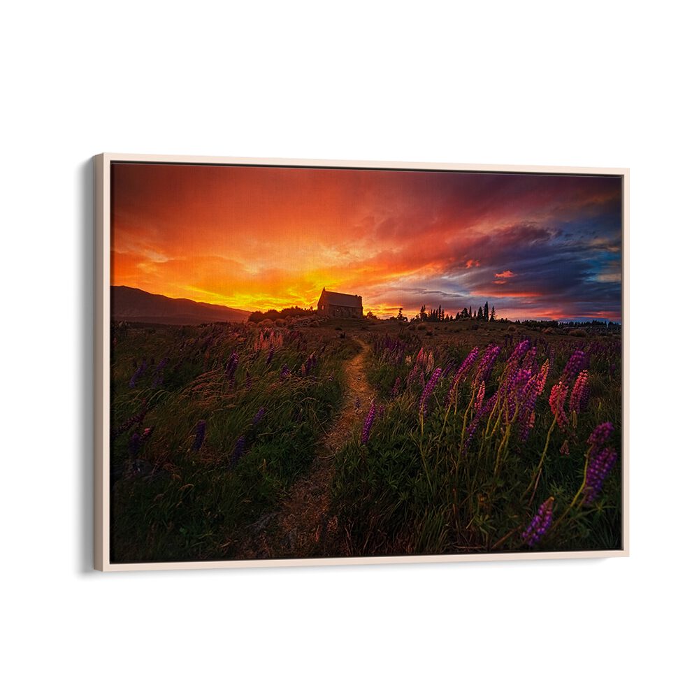 Vibrant sunset over a path and flowers, perfect for your home—discover IN THE WIND, PHOTOGRAPHY PRINTS.