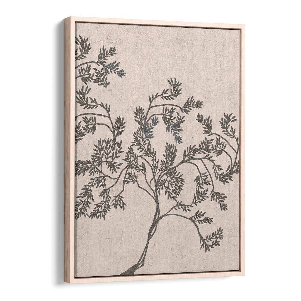 ACACIA NILOTICA , FLORAL FLOWER PAINTINGS