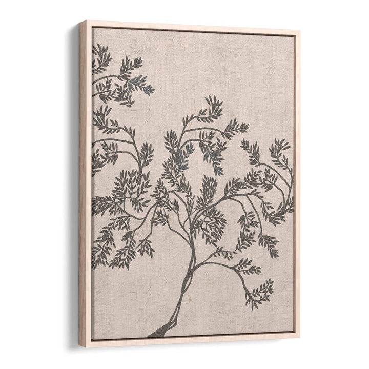 ACACIA NILOTICA , FLORAL FLOWER PAINTINGS