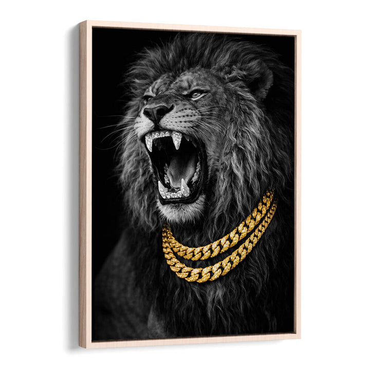 BEJWELED CONCEPT PHOTOGRAPHY