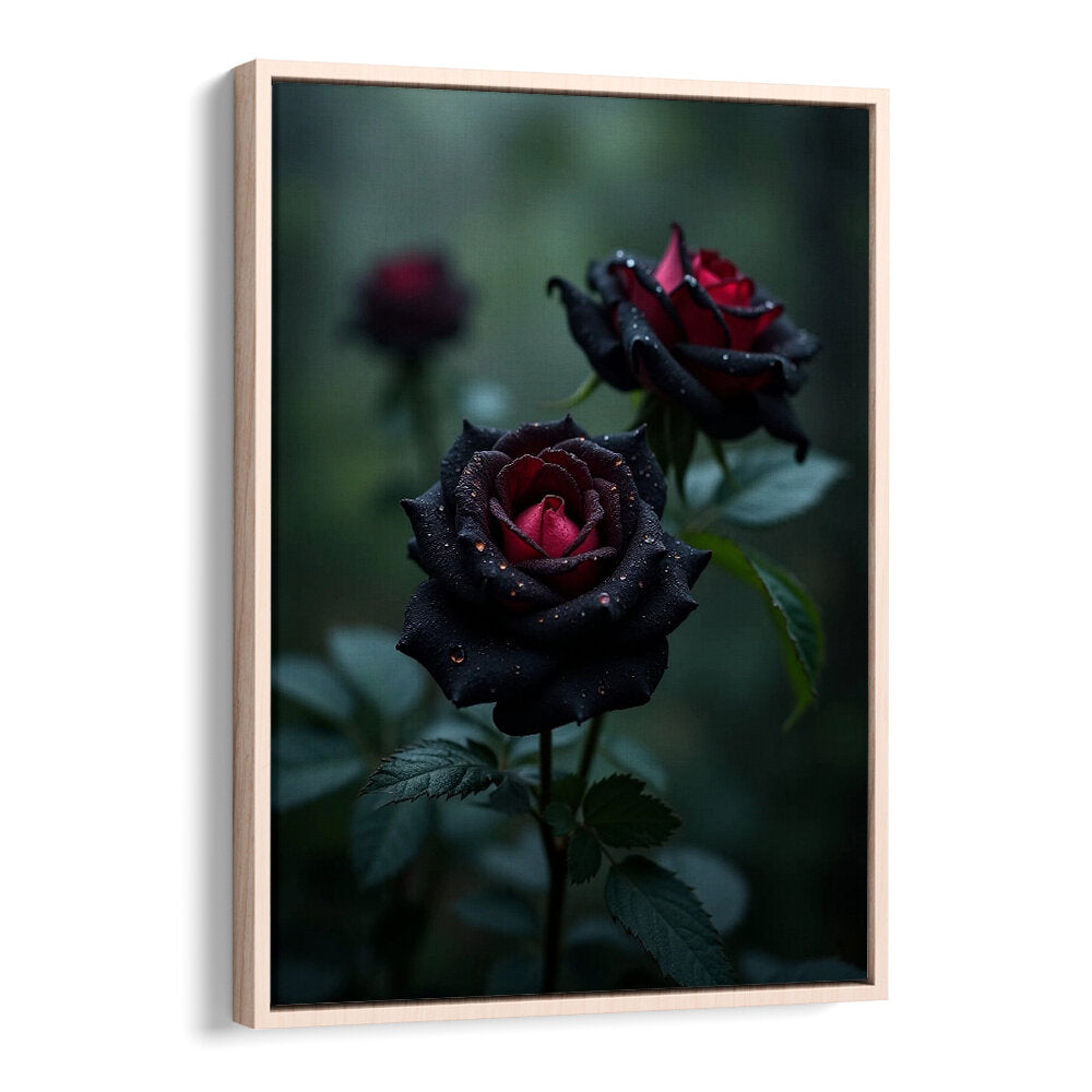 BLACK ROSES
