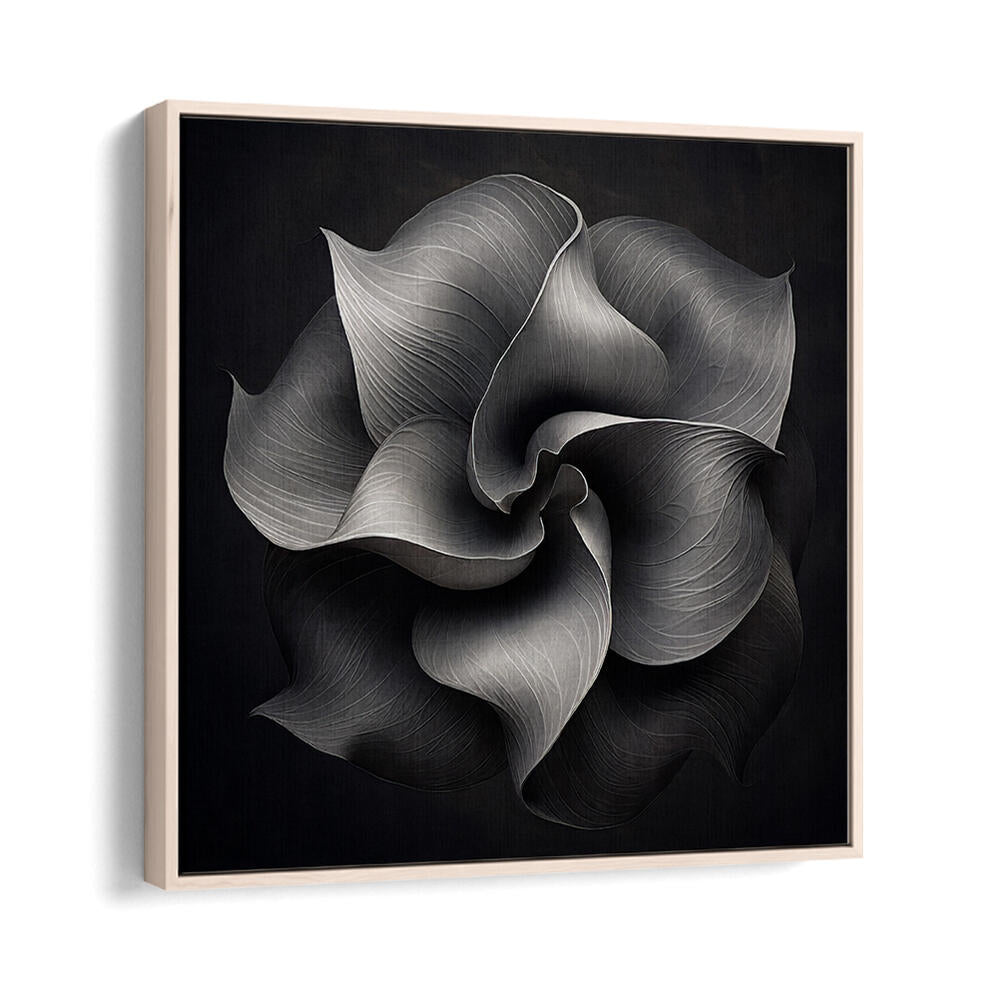 BLACK AND WHITE FLOWER V , ORGANIC FORMS