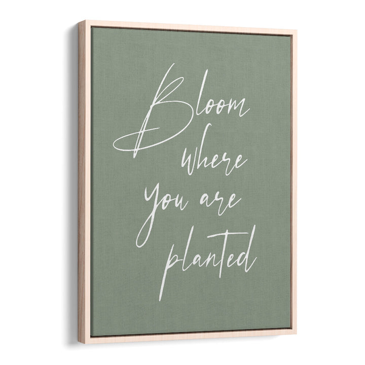 BLOOM , QUOTES & TYPOGRAPHY POSTERS