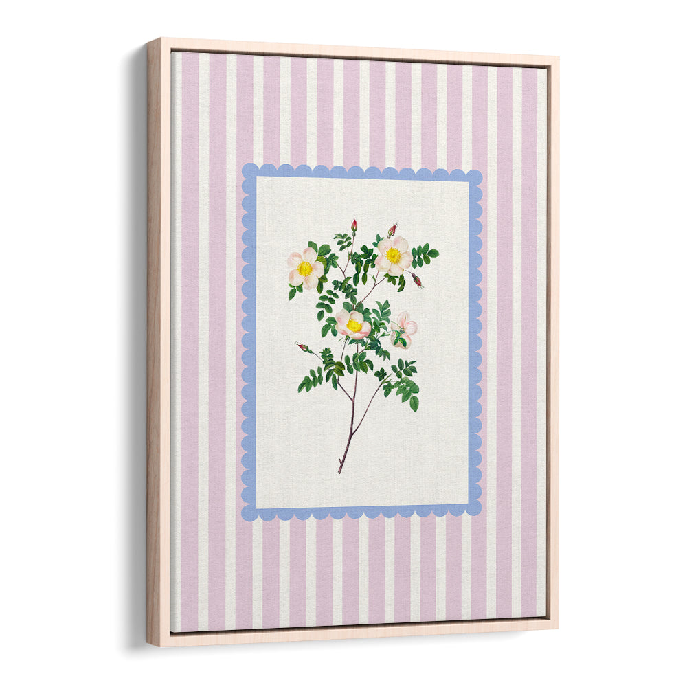 BLUSH WILD ROSE STUDY