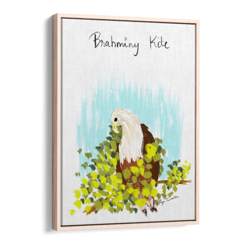 BRAHMINI KITE