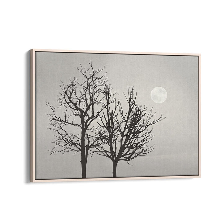 BRIGHT MOON LIGHT , LANDSCAPE PAINTINGS