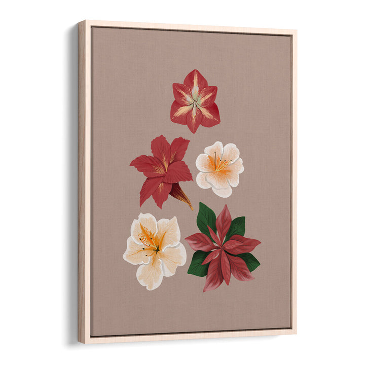 CHRISTMAS FLOWERS