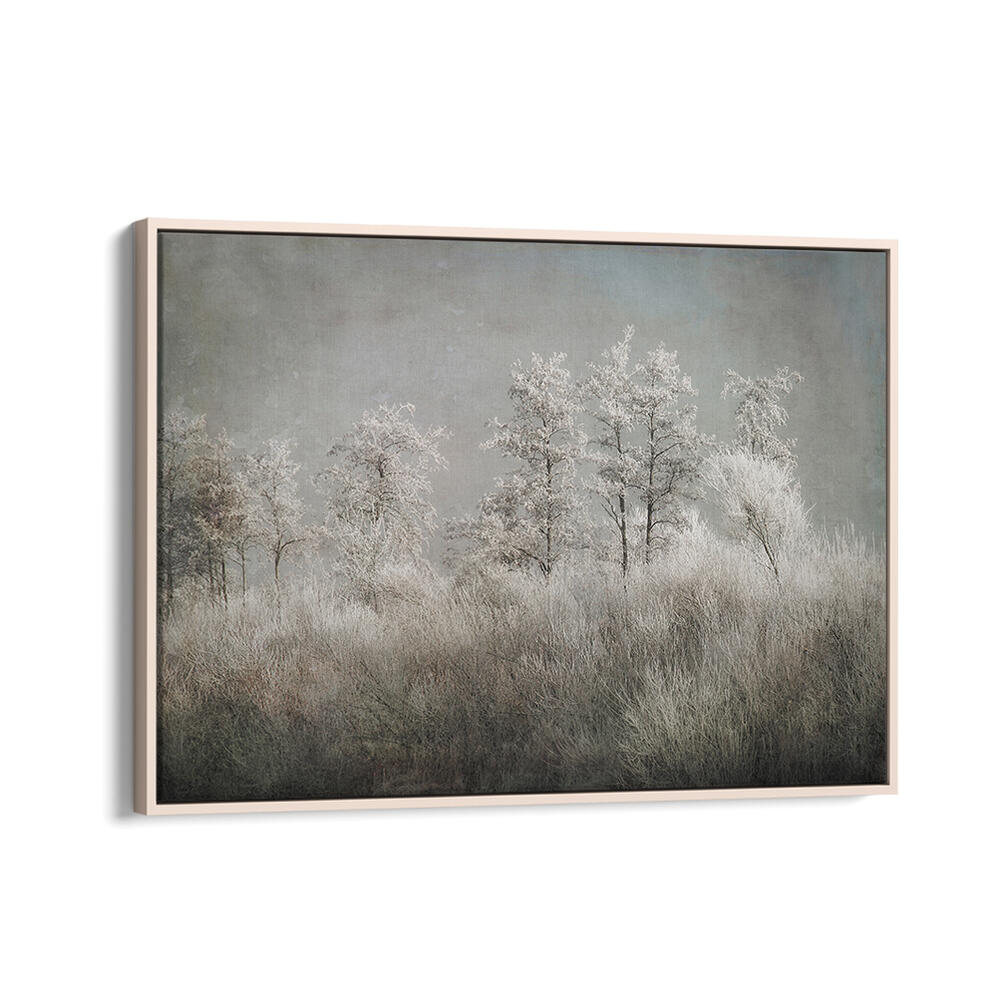 COLD MORNING , FLORAL FLOWER PAINTINGS