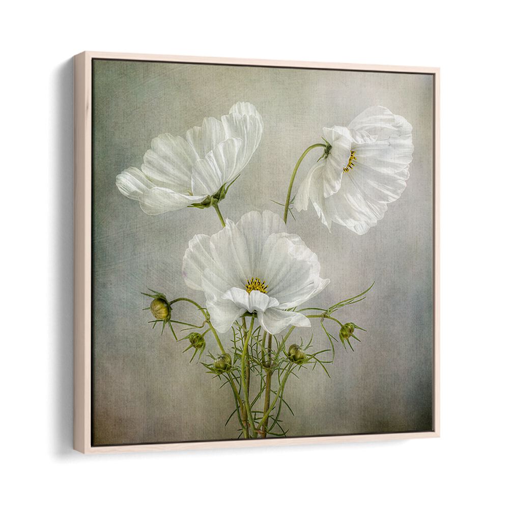 Elegant COSMOS CHARM, FLORAL FLOWER PAINTINGS showcasing delicate blooms, perfect for cosmic-themed decor.