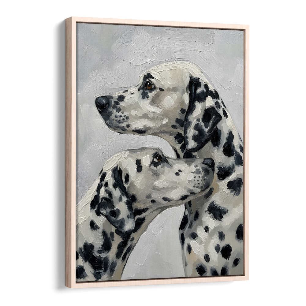 DALMATION DOG