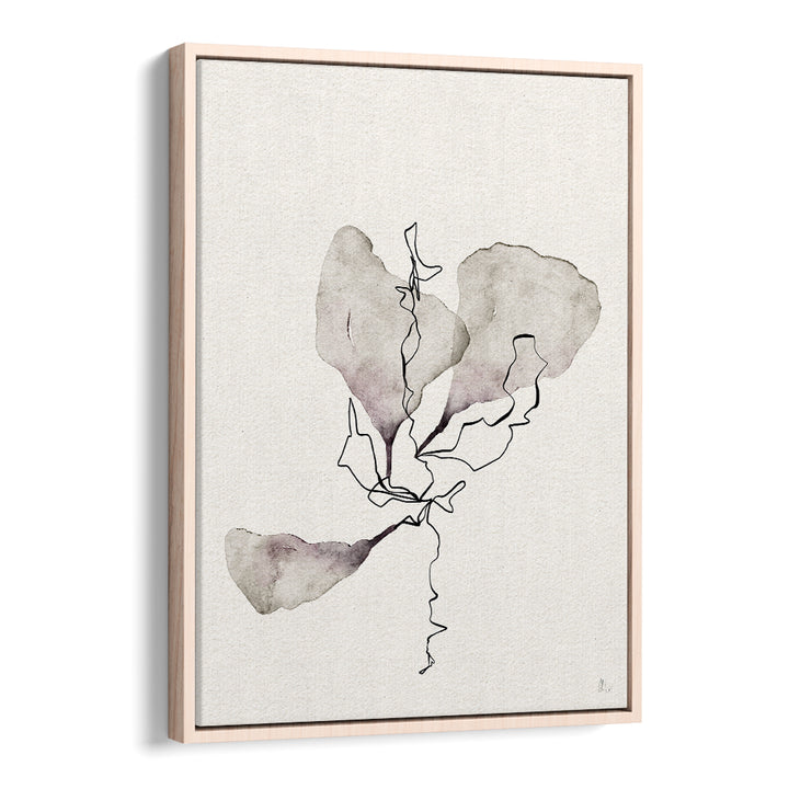 DELICATE BOTANICAL STUDY