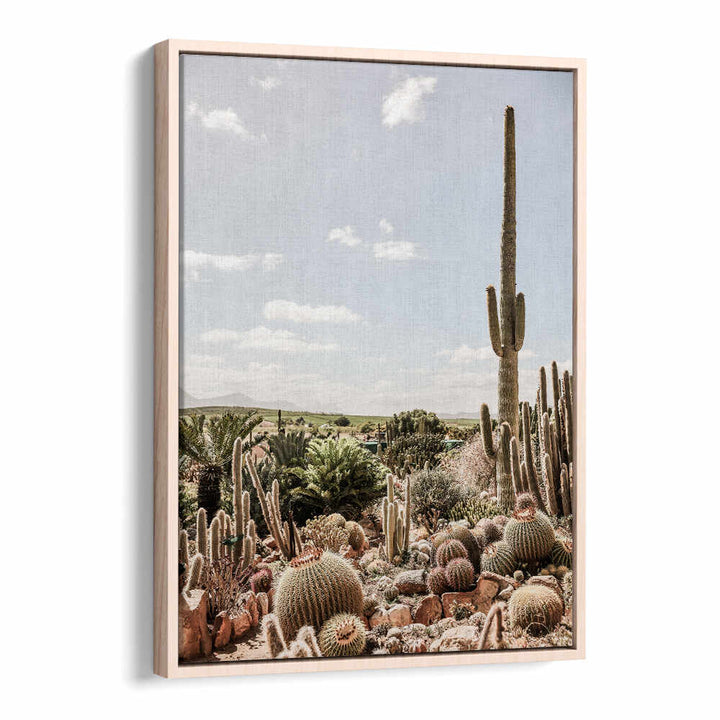 DESERT SYMPHONY , COWBOY framed cactus desert painting in Oakwood floater frame