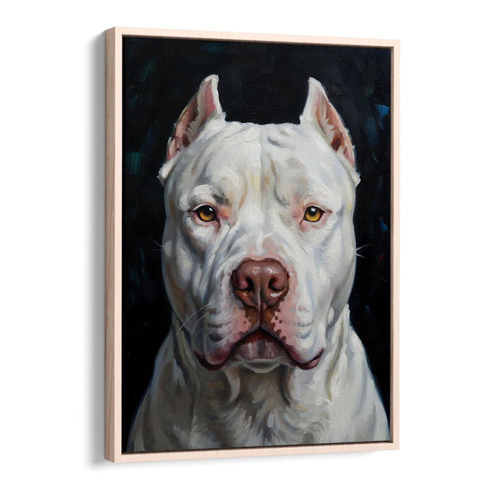 DOGO ARGENTINO