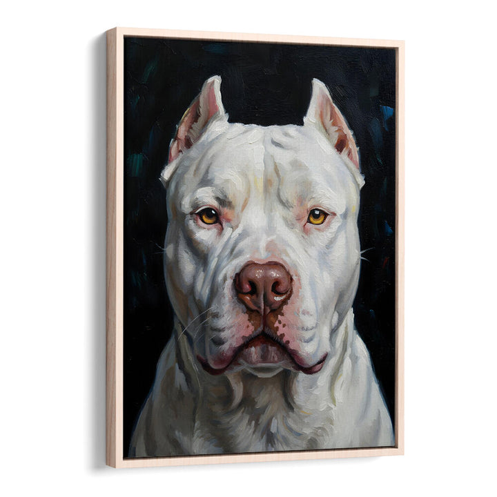 DOGO ARGENTINO