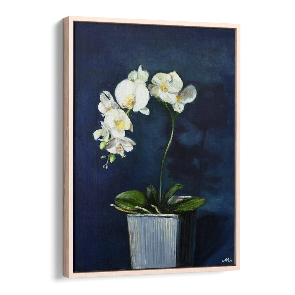 ELEGANT WHITE ORCHIDS