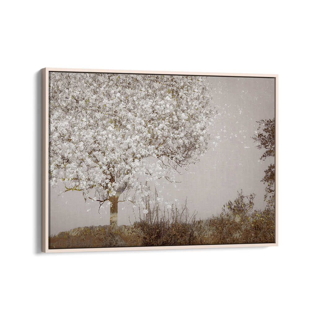 FRUIT TREE , FLORAL FLOWER PAINTINGS