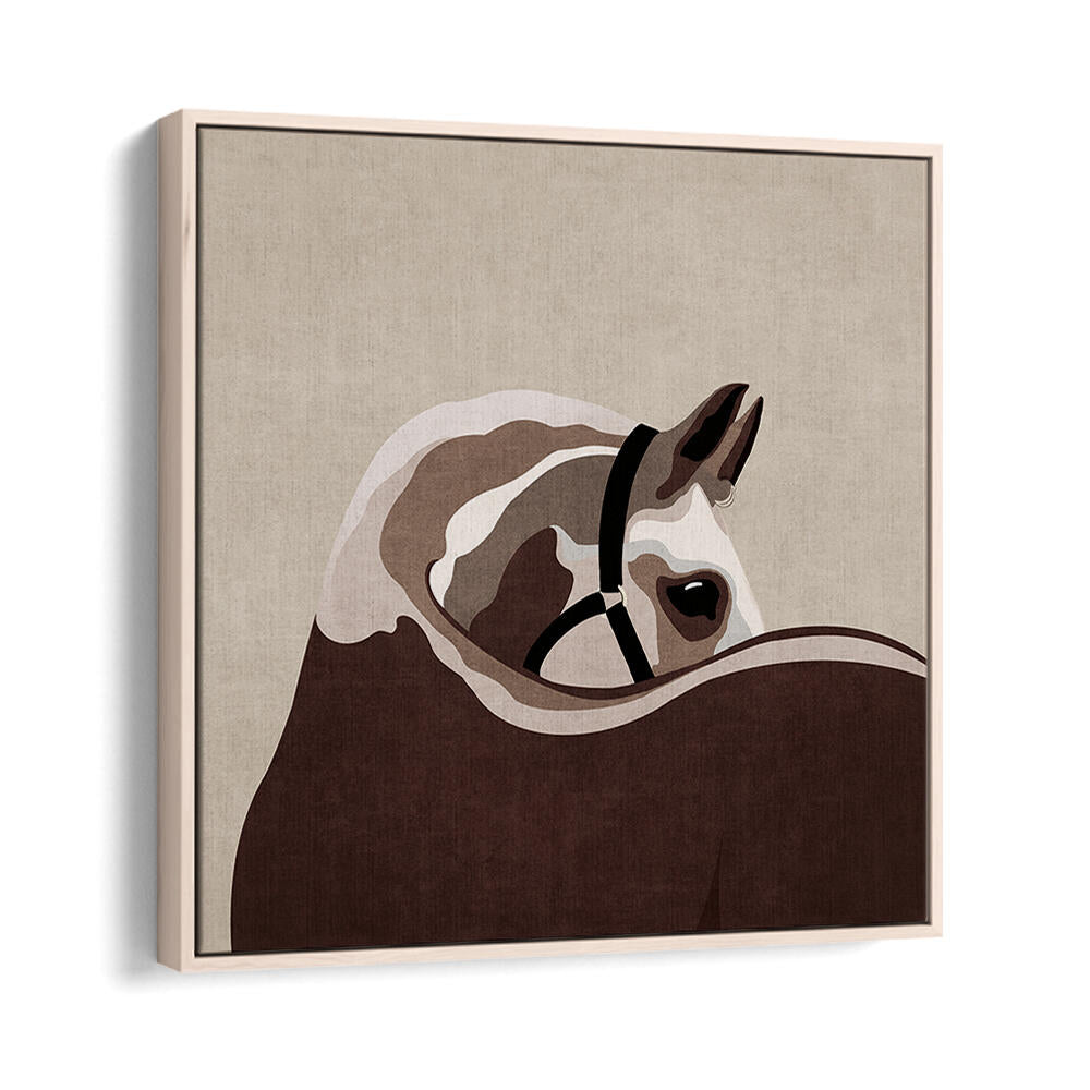 GENTLE EQUINE CURVE