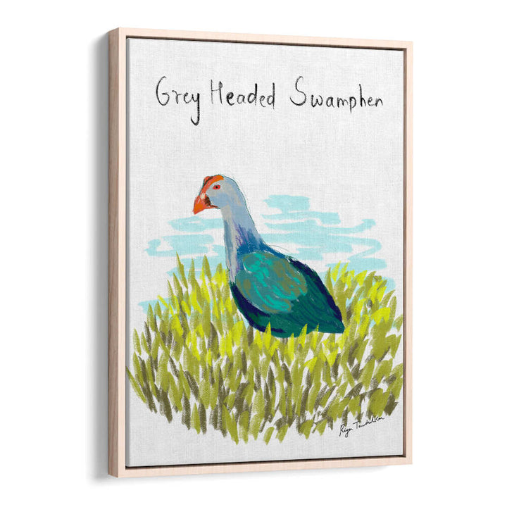 GREY HEADED SWAMPHEN