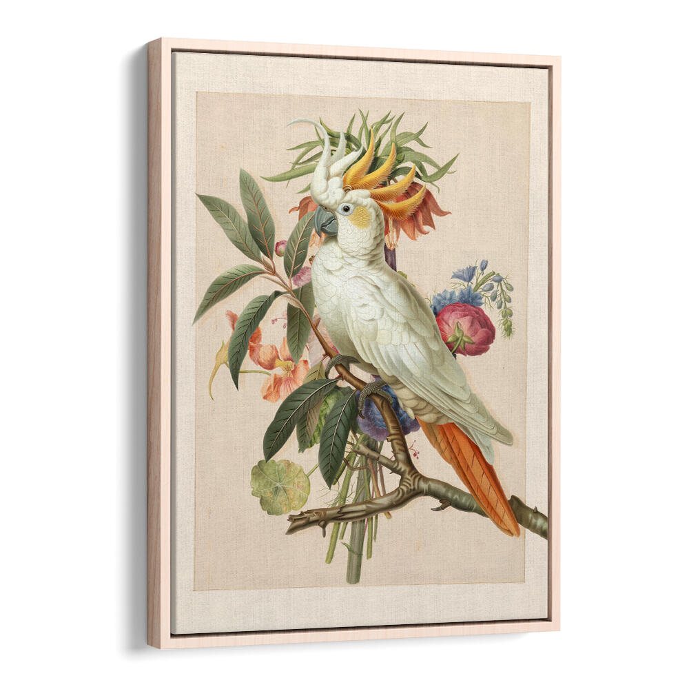 HENRIËTTA’S BIRD