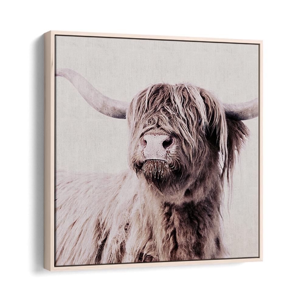 Highland Cattle Animal Paintings showcase stunning detail, perfect for art lovers and wildlife enthusiasts.