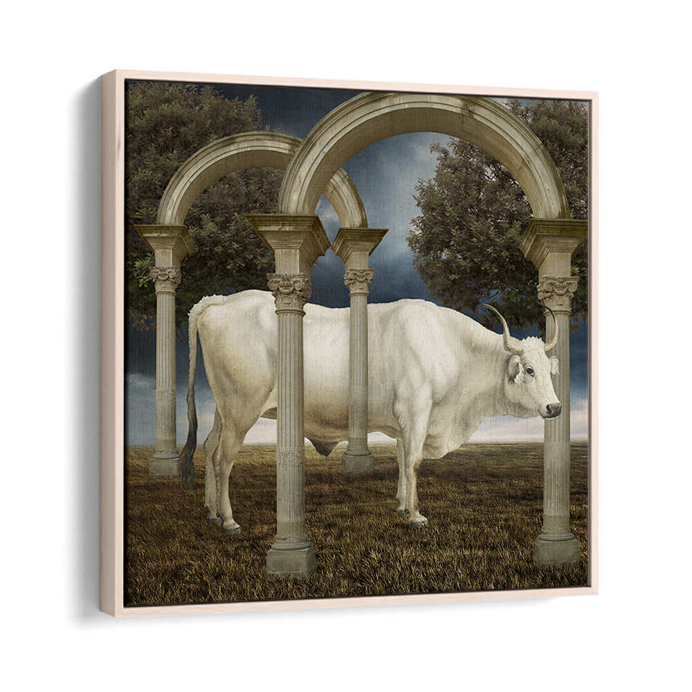 ILLUSIONNISME DE LA VACHE