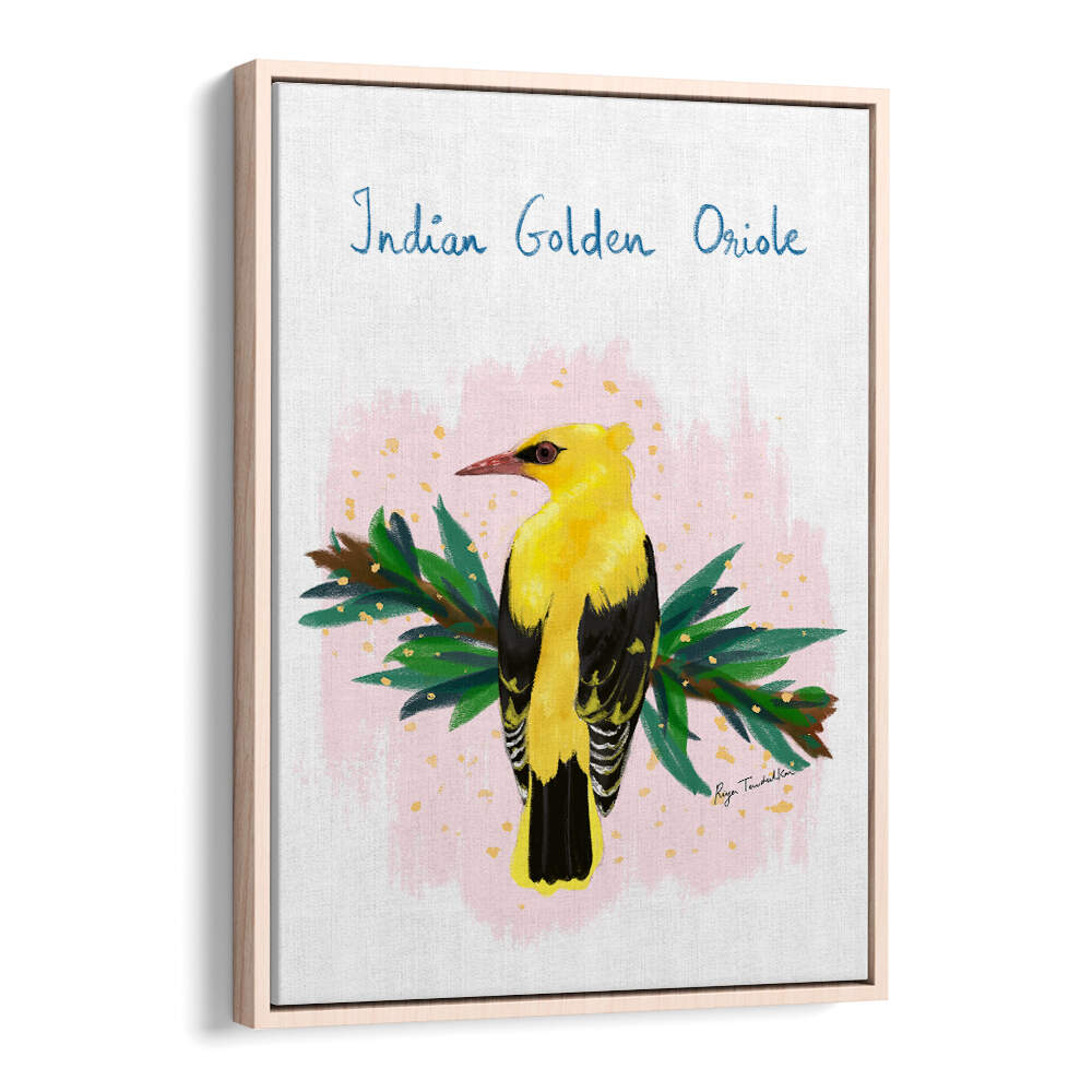INDIAN GOLDEN ORIOLE