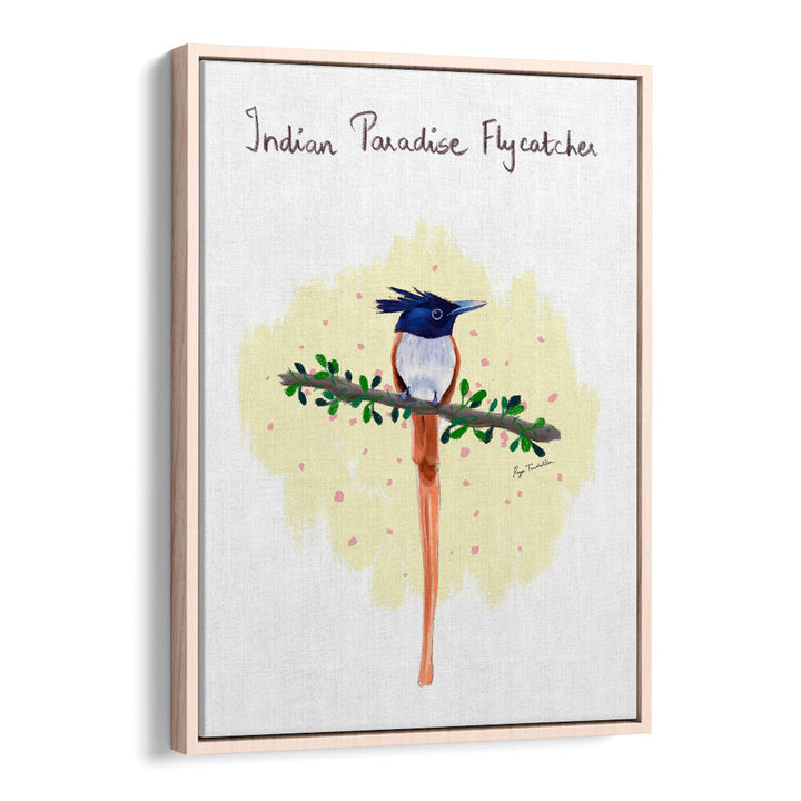 INDIAN PARADISE FLYCATCHER