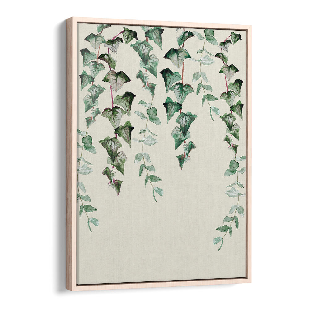 IVY Y EUCALYPTUS