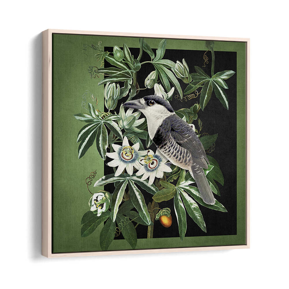 L'OISEAU ET LA PASSIFLORE