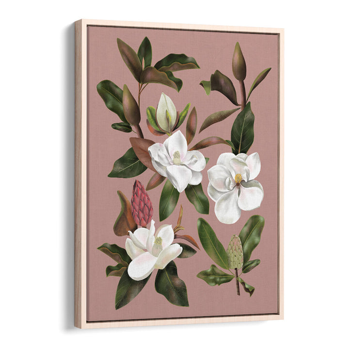 MAGNOLIAS BLACK