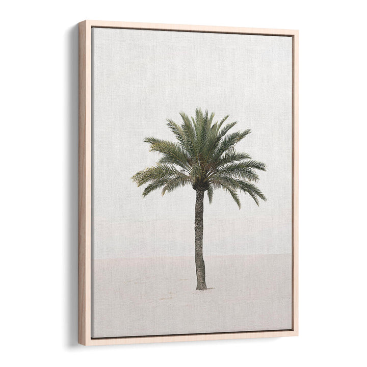 PALM II , BEACH PAINTINGS