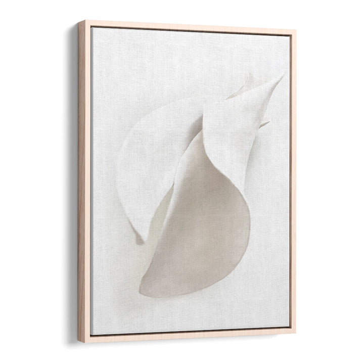 PETAL'S SILENCE , ORGANIC FORMS