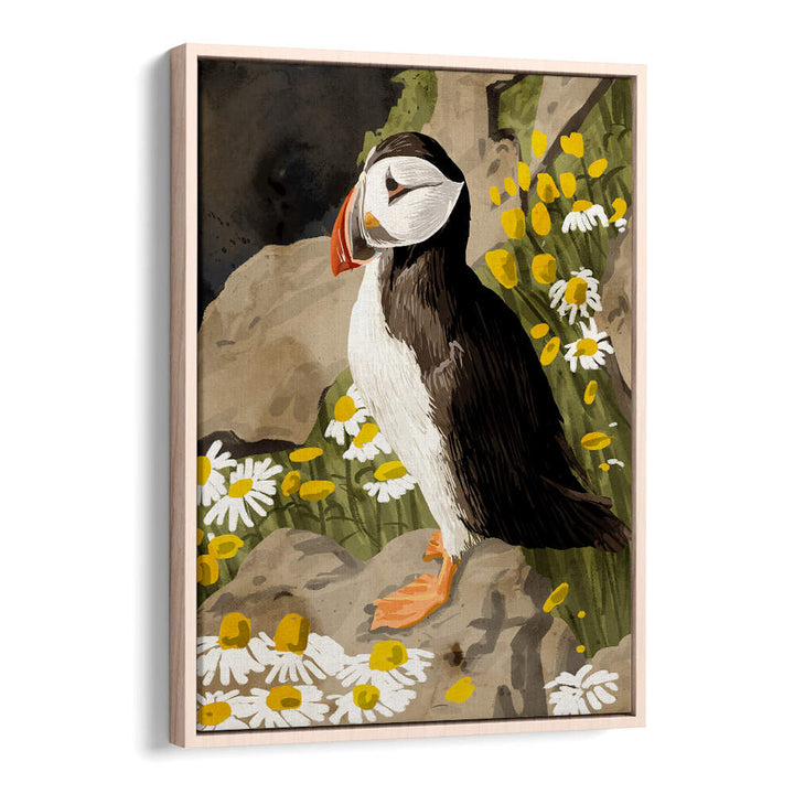 PUFFIN , ANIMAL PAINTINGS