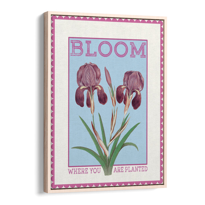 PURPLE IRISES BLOOM QUOTE