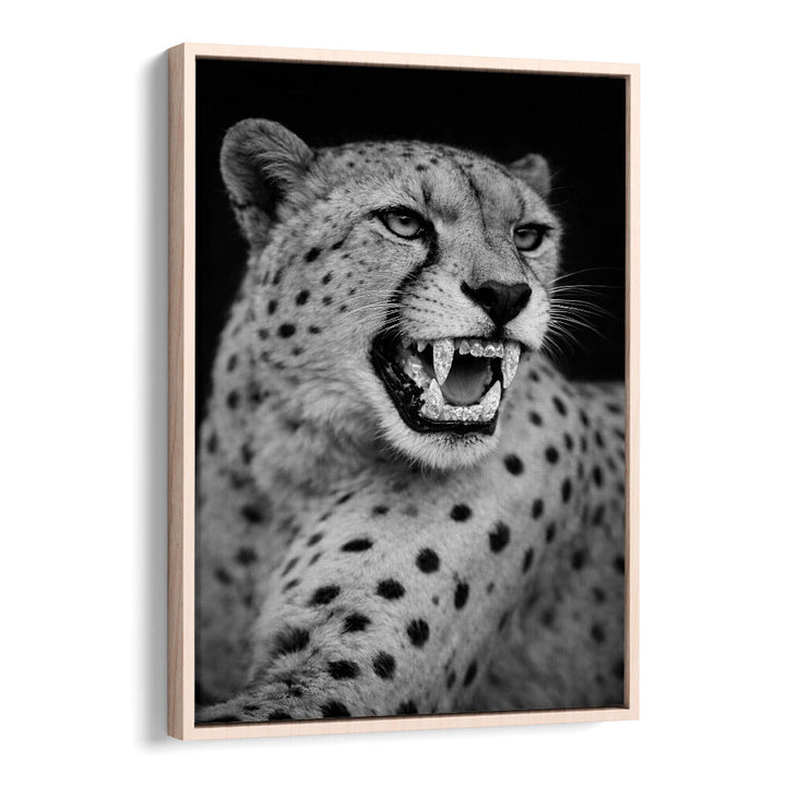 ROARING PREDATOR