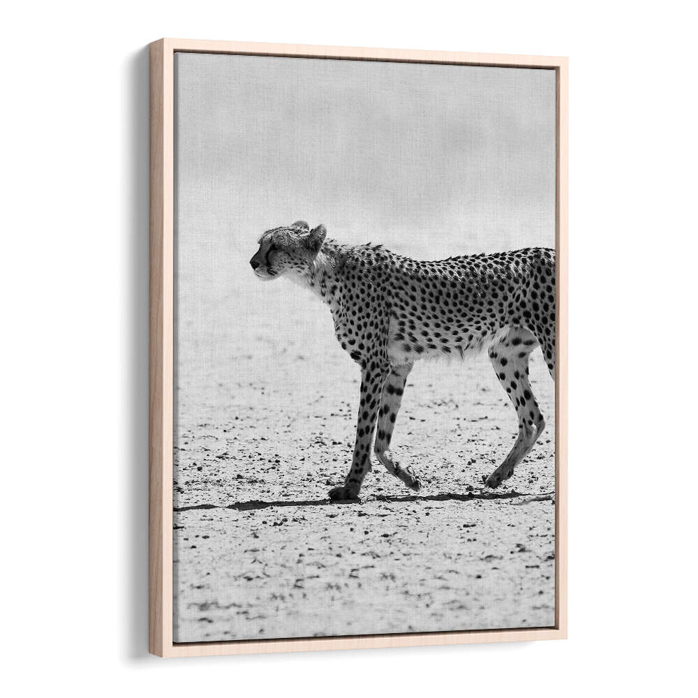SILENT PURSUIT , ANIMAL PAINTINGS Oakwood framed black-and-white cheetah walking across a sunlit desert