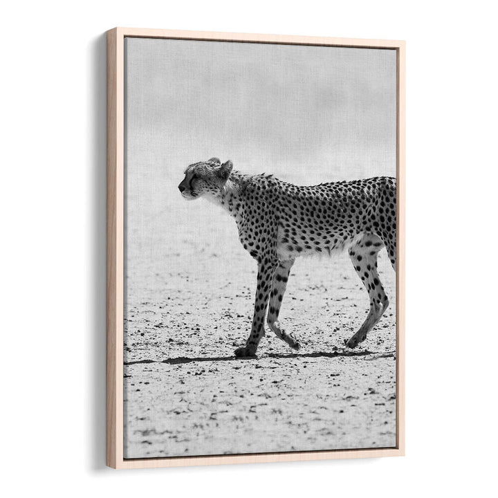 SILENT PURSUIT , ANIMAL PAINTINGS Oakwood framed black-and-white cheetah walking across a sunlit desert
