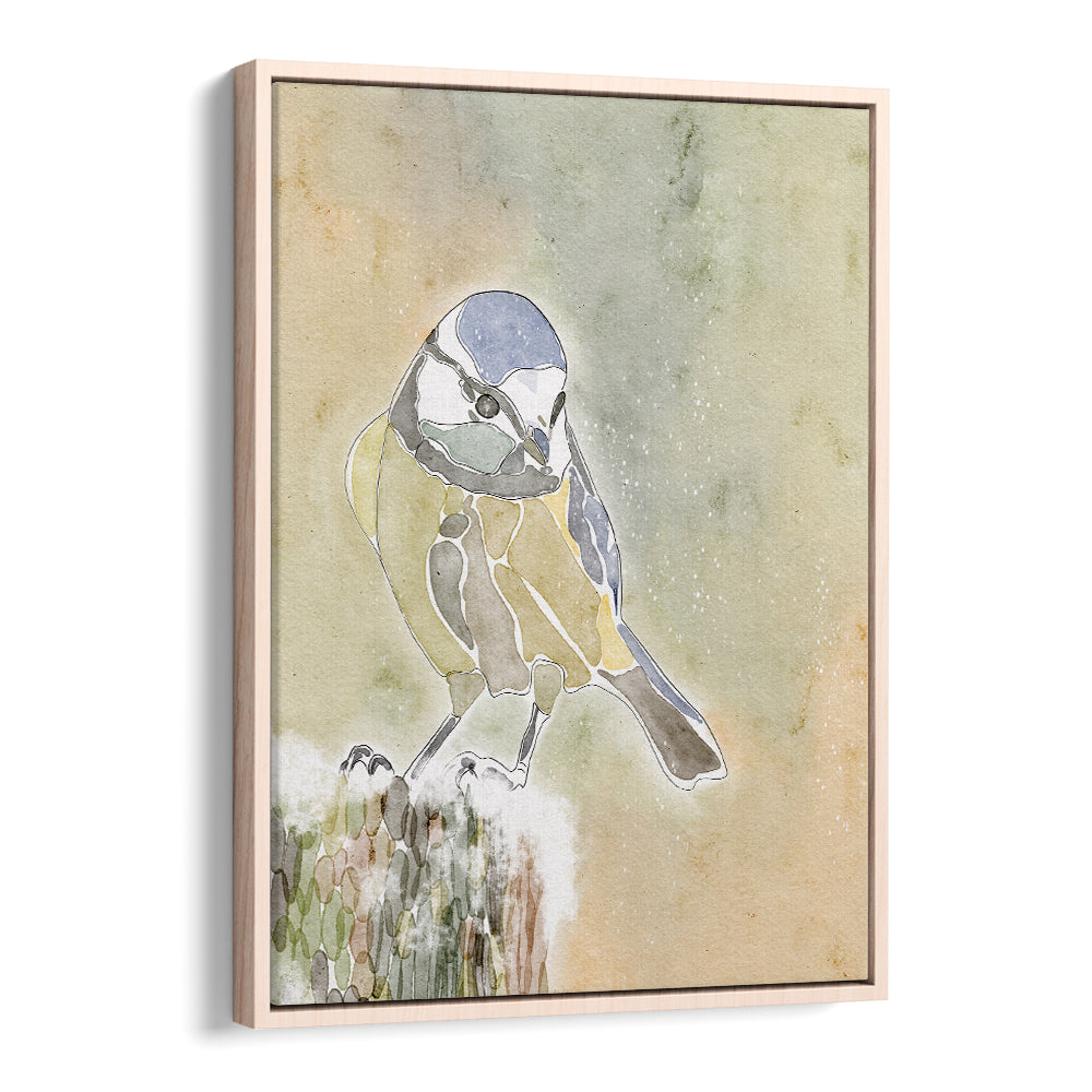 SNOWY BLUE TIT