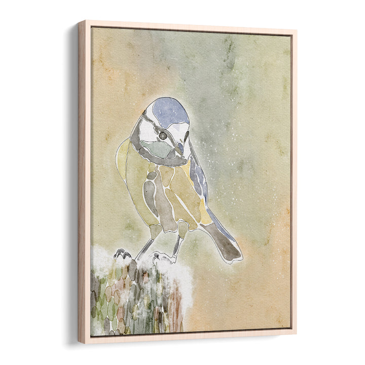 SNOWY BLUE TIT