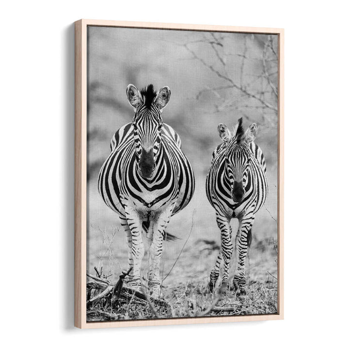 Oakwood framed STRIPED HORSE , ANIMAL PAINTINGS black-and-white zebra pair wall art