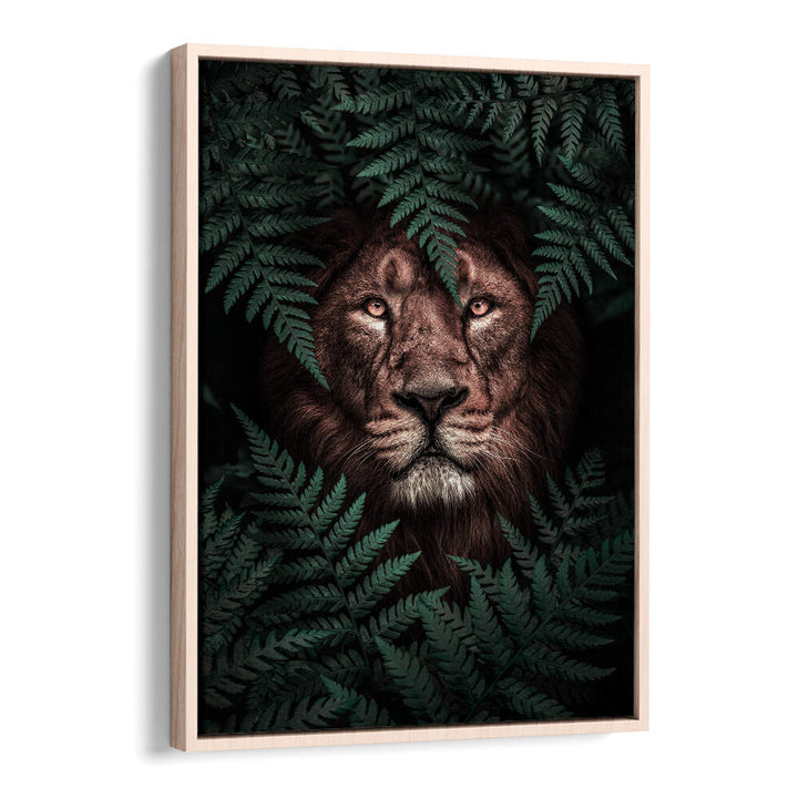 THE LION KING , ANIMAL PAINTINGS