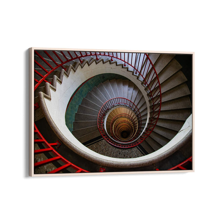 THE EYE