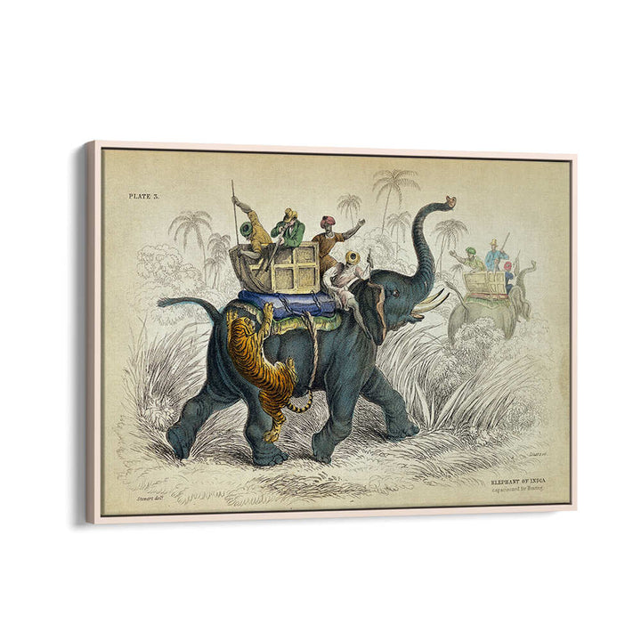 HISTORY OF THE PACHYDERMES