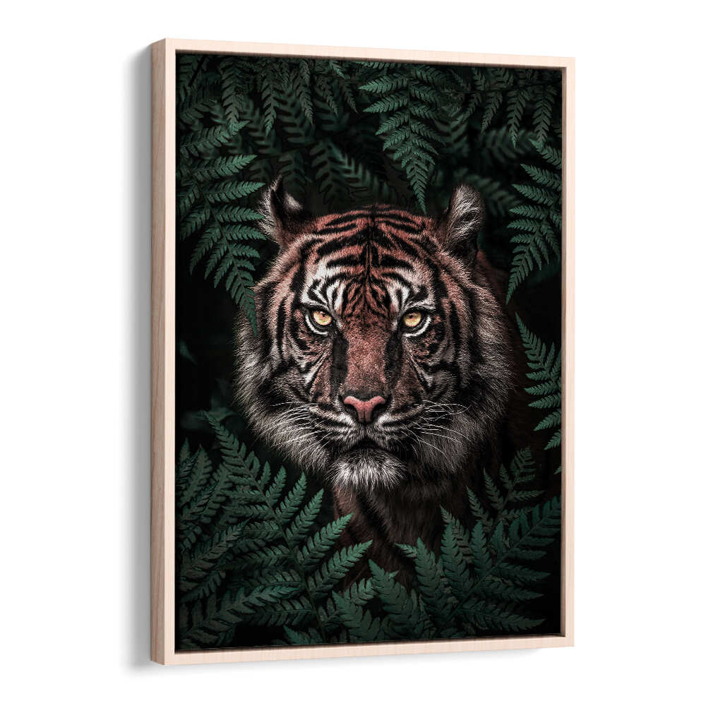 TIGER , ANIMAL PAINTINGS