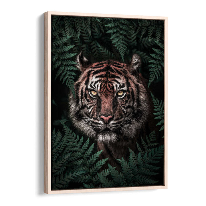 TIGER , ANIMAL PAINTINGS