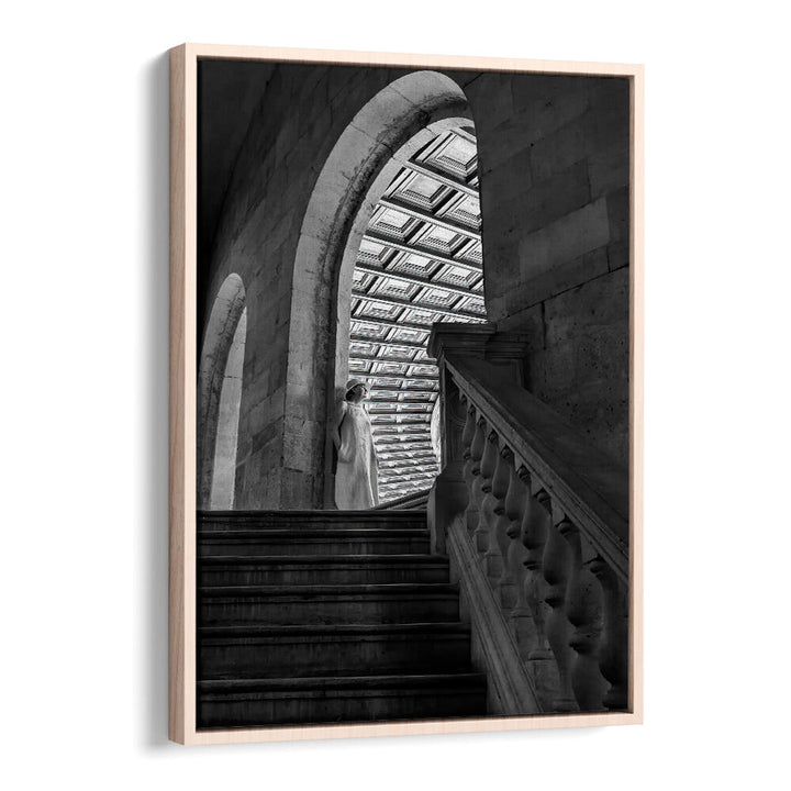 TIMELESS ARCHES