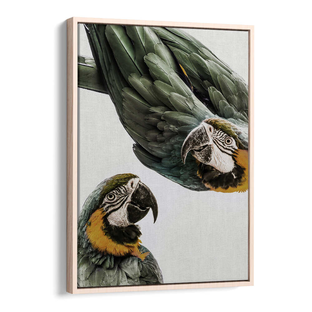 Oakwood VIBRANT PARROT DUO , ANIMAL PAINTINGS framed wall art showing two colorful macaws